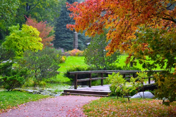 Parque Otoño Después Lluvia — Foto de Stock