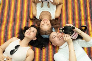 Üç arkadaş çizgili bir mindere uzanıp köpekleriyle dışarıda vakit geçiriyorlar.