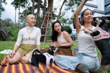 Üç farklı arkadaş yeşil bir parkta köpekleriyle oynuyorlar.