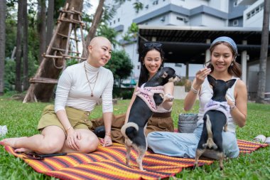 Parktaki çimlerin üzerinde oturan arkadaşlar, chihuahua köpekleriyle etkileşim halindeler.