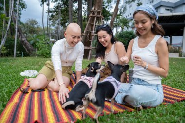 Üç genç Asyalı kadın çim üzerinde köpekleri ile pikniğin tadını çıkarıyorlar.