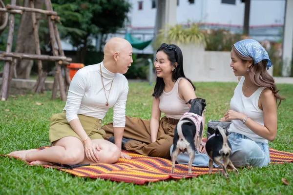 Üç farklı arkadaş ve köpekleri parkta bir paspasın üzerinde rahatlıyor, birbirlerine eşlik ederek eğleniyorlar.