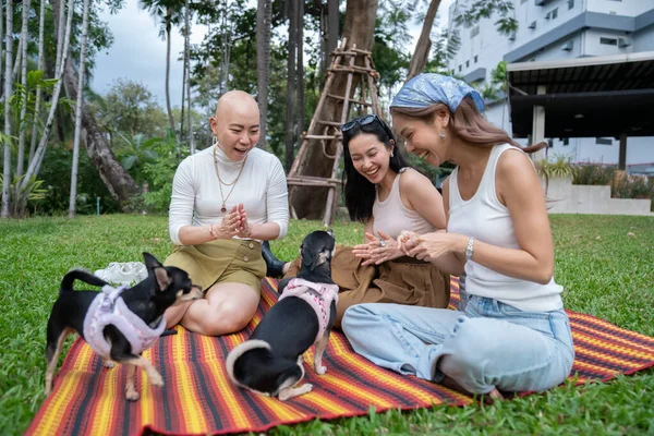 Kadın arkadaşlar parkta bir piknik minderinde gülümseyip chihuahua köpekleriyle oynuyorlar.