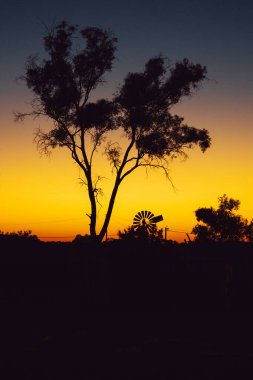 Yel değirmeni ve ağaç siluetini canlı altın bir günbatımı gökyüzüne karşı gösteriyor.