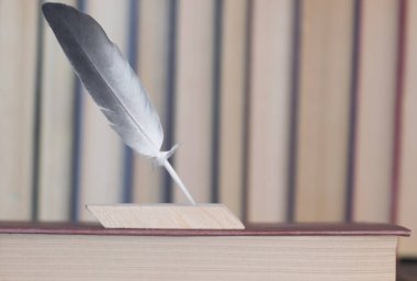 Yazarlığı, bilgiyi ve yaratıcılığı temsil eden kitap üzerine tüy kalem