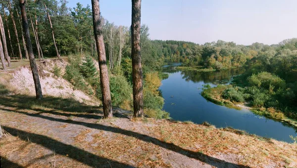 Sonbaharda nehir ve ormanın güzel manzarası.