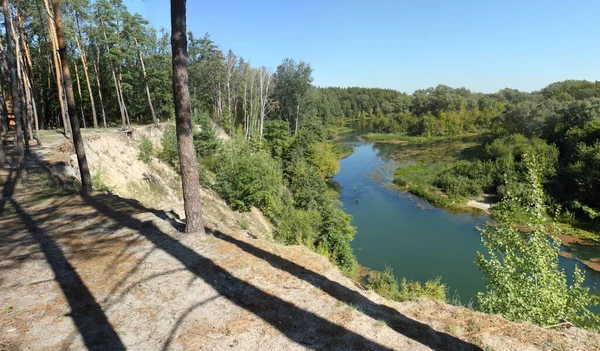 Güzel manzara nehir ve orman