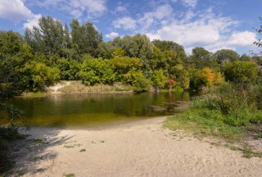 Ormandaki nehrin güzel manzarası