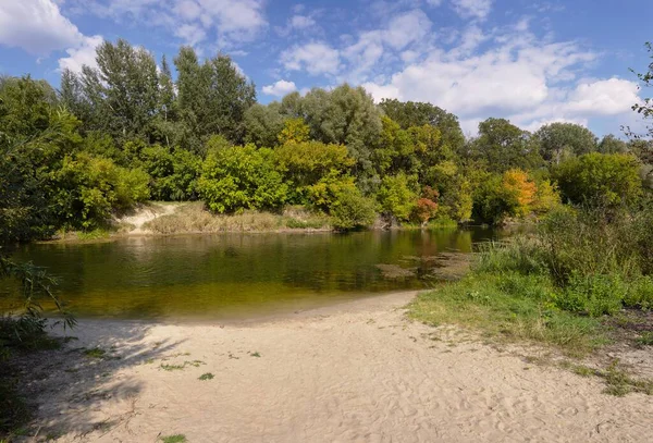 Ormandaki nehrin güzel manzarası