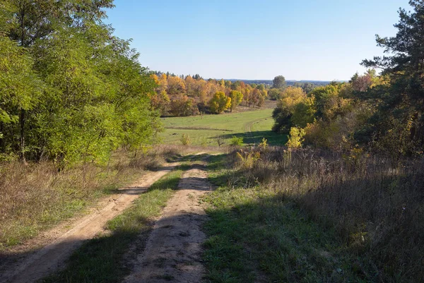 Kırsaldaki ağaçlar ve tarlalar arasındaki toprak yol
