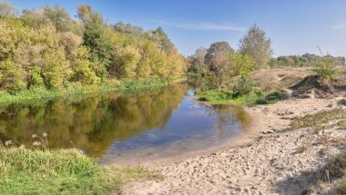 Ormandaki nehrin güzel manzarası
