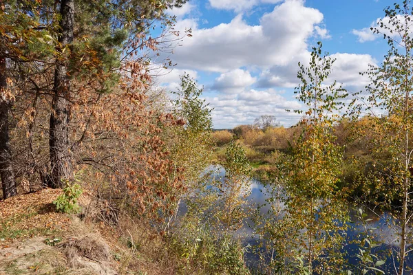Ormandaki güzel sonbahar manzarası.
