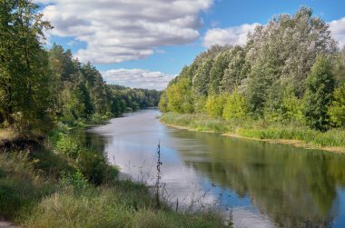 Önünde orman olan bir nehir manzarası.