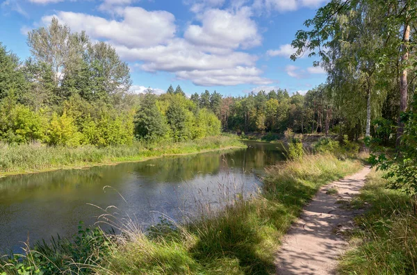 Ormandaki güzel nehir