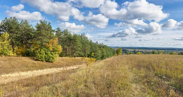 Çimen tarlası ve mavi gökyüzü olan güzel bir manzara.
