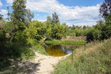 Ormandaki güzel nehir