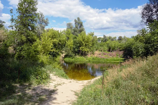 Ormandaki güzel nehir