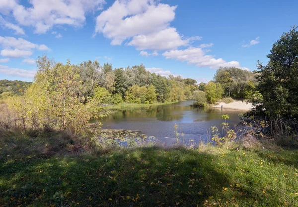 Ormandaki bir nehir manzarası