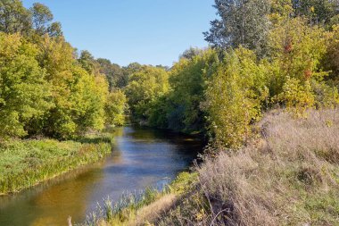 Sonbahar ormanında bir nehir