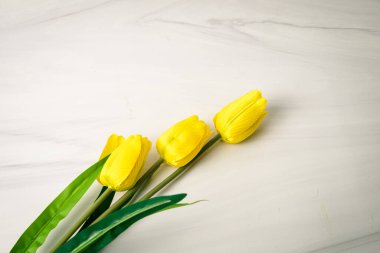 Beyaz mermer zemin üzerinde üç sarı lale ve yapraklar, geniş kopya alanı ile minimum yay düzlük.