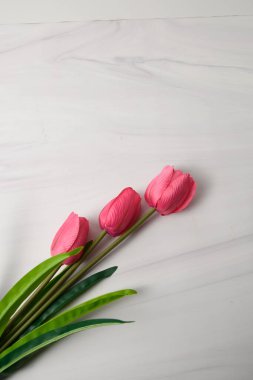 Beyaz mermer zemin üzerinde yeşil yaprakları olan üç pembe lale. Kopya alanı olan minimum yay düzlüğü..