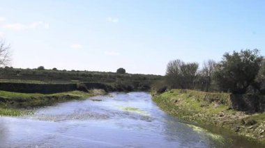 Parlak mavi gökyüzü altında dalgalanmalar, yansımalar ve yosun parçalarıyla yeşil kıyılarda kıvrılan sakin bir nehre bakan bir köprüden görüntüler..