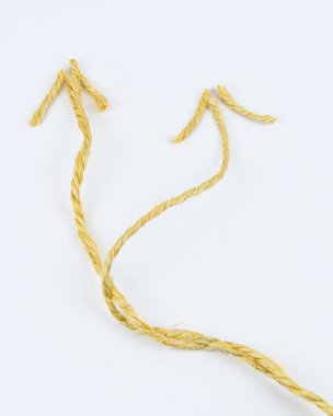 Beyaz arka planda iki farklı ok şeklinde bükülmüş ip. Ayrık yol kavramı, alternatifler, belirsizlik, değişim ve karar verme.