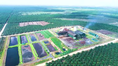 CPO Mill Altyapısı: Endüstriyel Etkin Göletlerin Hava Görünümü. Kalimantan, Endonezya 'daki büyük bir ham palmiye yağı fabrikasının editörlük perspektifi, işleme birimlerinin ve atık su arıtma sistemlerinin sistematik planlarını gözler önüne seriyor