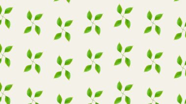 Nazik Organik Hareket, Kusursuz Botanik Doku Döngüsü, Asgari Çevre Yeşil Yaprak Duvar Kağıdı Animasyonu