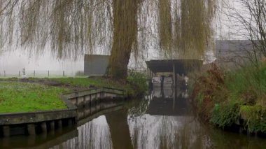 Huzurlu Kayıkhane Koyu, Asılı Dallar, Durgun Su, Balıkçılık Atmosferi, Huzurlu