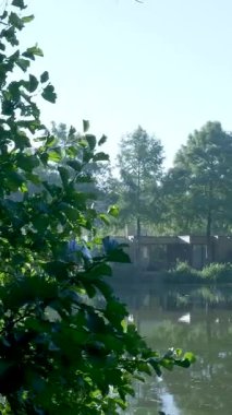 Güneşli bir yaz gününde sakin bir göl kenarındaki yemyeşil ağaçların arasında yuva yapmış modern bir ev.