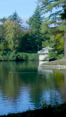 Ördeklerin yüzdüğü güzel bir parkta dingin bir göl ve yemyeşil ağaçların arasında beyaz bir kayıkhane.