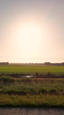 Yeşil tarlaları ve altın bir günbatımında geçen telgraf direkleriyle güzel bir kırsal alan.