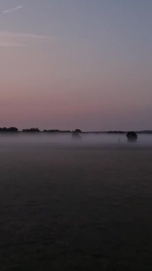 Sabah sisi kırsal bir araziyi kaplıyor. Sisin altından ağaçlar çıkıyor. Renkli bir gökyüzünün altında.
