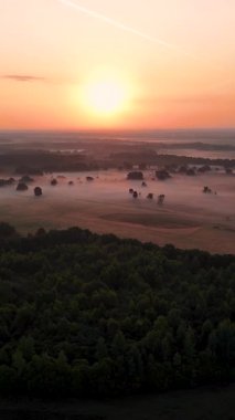 Güneşin güzel bir şafak vakti sisli bir orman ve tarla manzarasının üzerinden doğuşunu gösteren hava manzarası