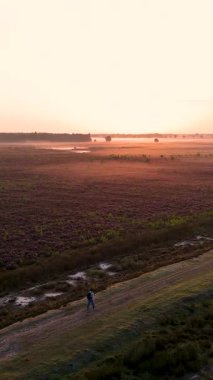 Yalnız bir yürüyüşçünün sisli bir gündoğumunda güzel mor bir fundalıkta yürüyüşünün havadan görüntüsü.