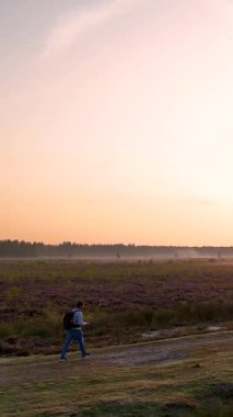 Sırt çantalı bir adam sisli fundalıkta yürüyüş yapıyor. Güzel bir altın gün doğumu sırasında.
