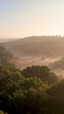 Sabah sisi, güzel, yemyeşil bir orman ve gün doğumunda mor bir kalorifer üzerinde sürükleniyor.