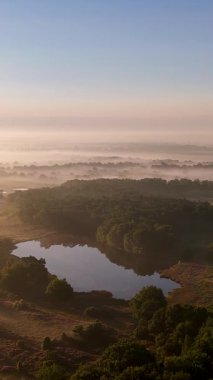 Sakin bir gündoğumu sırasında gölü ve yemyeşil ormanı olan sisli bir arazinin çarpıcı hava manzarası.