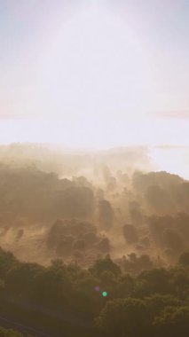 Hava aracı görüntüleri sisli bir ormanın üzerinde uçarken güneş ışınları gizemli ve dengesiz bir manzara yaratıyor.