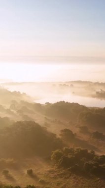 Sabah güneşi sisli bir orman ve göl üzerinde parlıyor ve büyülü bir atmosfer yaratıyor.