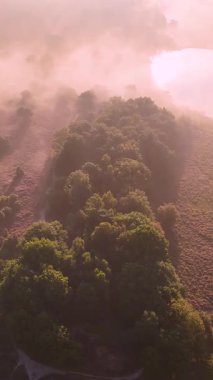 Pembe bir gündoğumu sırasında sakin gölü olan sisli bir orman manzarasının güzel hava perspektifi