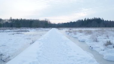 Karlı sahil geçidi Donmuş bataklık, Öncü çizgiler Gözü Ağaçlara ve Pastel Sabah Gökyüzüne Çekiyor,