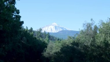 Tenerife Dağı, kanarya adaları, açık mavi gökyüzü ile sık bir ormandan görülür.
