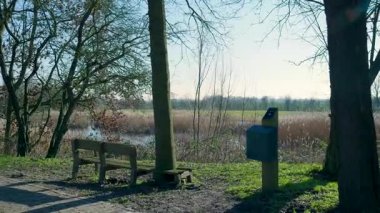 Güneşli bir günde bankı ve göleti olan sakin bir parkın manzarası.