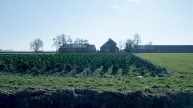 Geleneksel bir çiftlik evinin güneşli bir manzarası var. Etrafı ekili tarlalar ve yeşil çayırlarla çevrili.