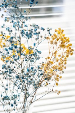 Pencerenin kenarındaki zarif mavi ve sarı kurutulmuş çigila.