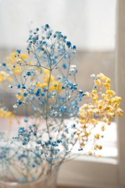 Yumuşak Odaklı Mavi ve Sarı Bebek Nefesi Çiçekleri