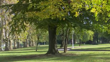 Sonbaharda Bilbao 'daki tarihi Casilda Iturrizar Parkı. Havuza yansıyan güzel bakır ve kırmızımsı ağaçlar. Yerel halk ördeklerin, kazların ve kuğuların yanında yürüyüp dinleniyor. İspanya 'nın Bask ülkesinde barışçıl kentsel doğa sahnesi.