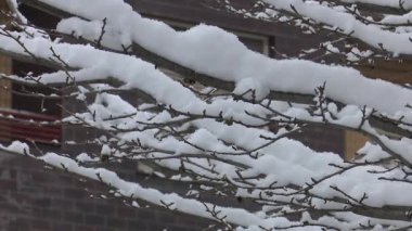 Şehir sokakları, ağaç dalları, araçlar ve kamu mobilyaları taze karla kaplanarak kentte sakin bir kış ortamı yaratıyor. Sahne, kar yağışı ile dönüşmüş kentsel bir manzaranın sessiz güzelliğini yakalıyor.,